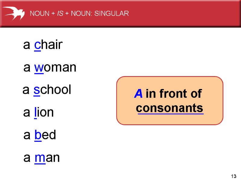 13 a chair a woman a school a lion a bed a man A